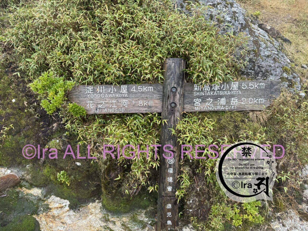 屋久島ベストシーズンの宮之浦岳(百名山登山)。鹿児島の世界遺産は初心者や発達障害者にも優しい。 IMG 5498