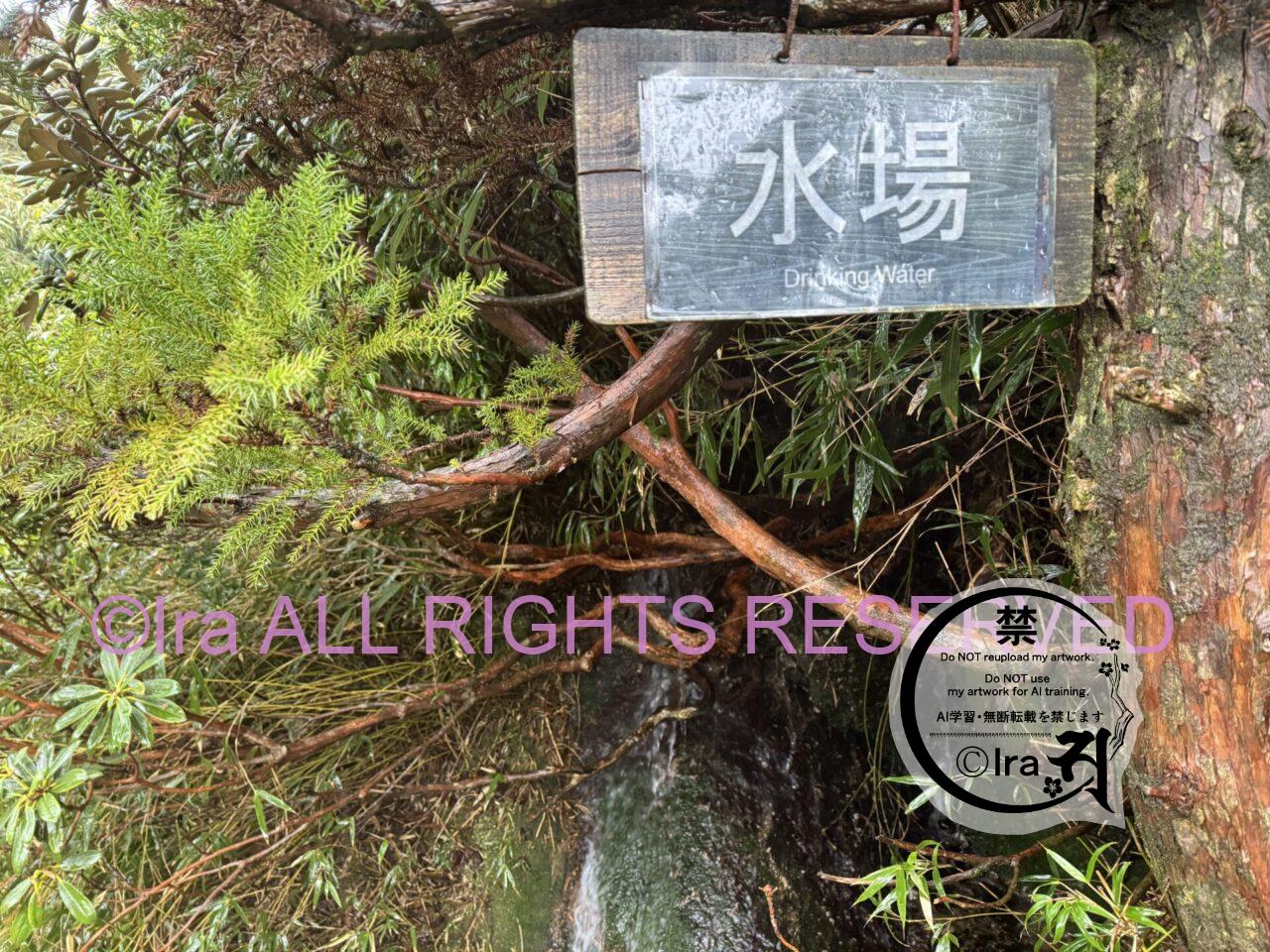 屋久島ベストシーズンの宮之浦岳(百名山登山)。鹿児島の世界遺産は初心者や発達障害者にも優しい。 IMG 5506