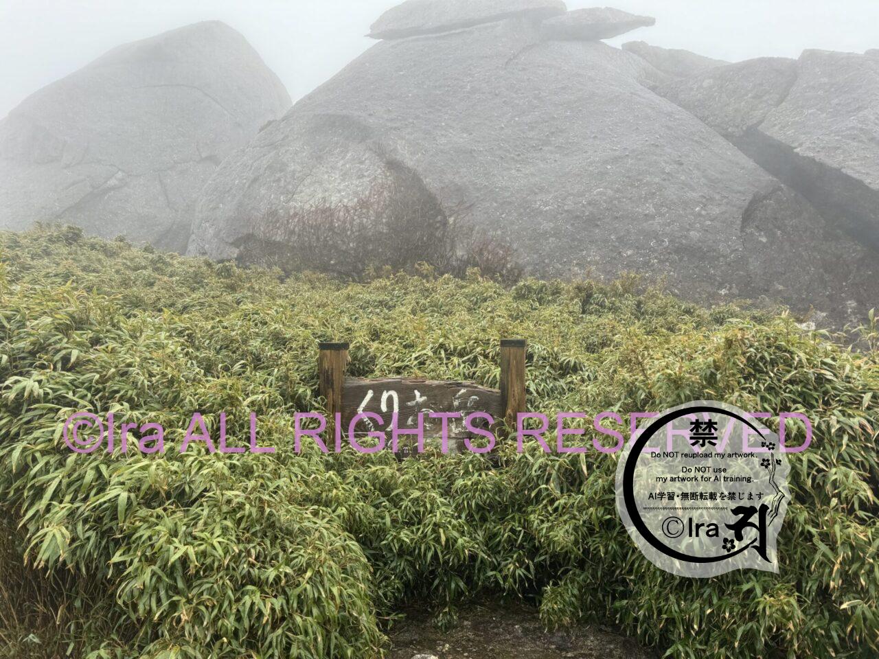 屋久島ベストシーズンの宮之浦岳(百名山登山)。鹿児島の世界遺産は初心者や発達障害者にも優しい。 IMG 5518