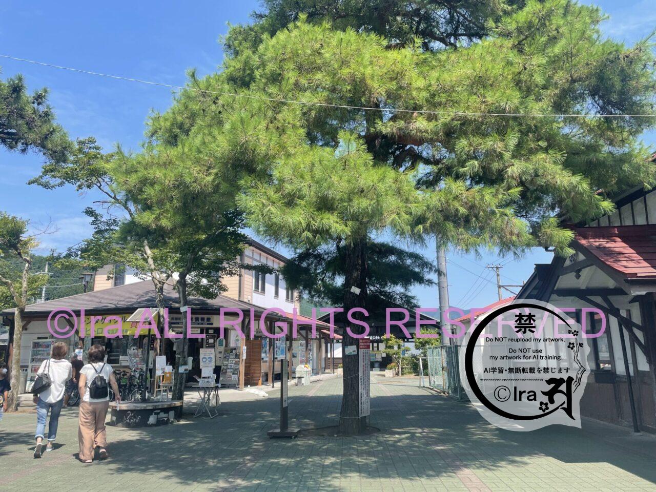 埼玉長瀞日帰りグルメ旅。毘沙門かき氷・川下り・寶登山神社参拝・美術館巡り。 IMG 8262