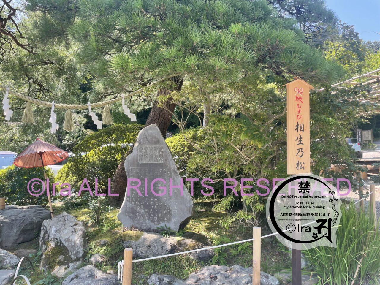 埼玉長瀞日帰りグルメ旅。毘沙門かき氷・川下り・寶登山神社参拝・美術館巡り。 IMG 8293
