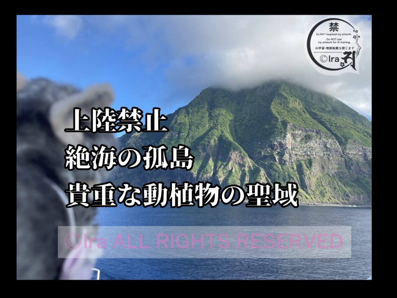 【南硫黄島】野鳥の会や愛鳥家の人々にも大人気の秘境 6722c72ef420ead25c42c64eaf4befd5