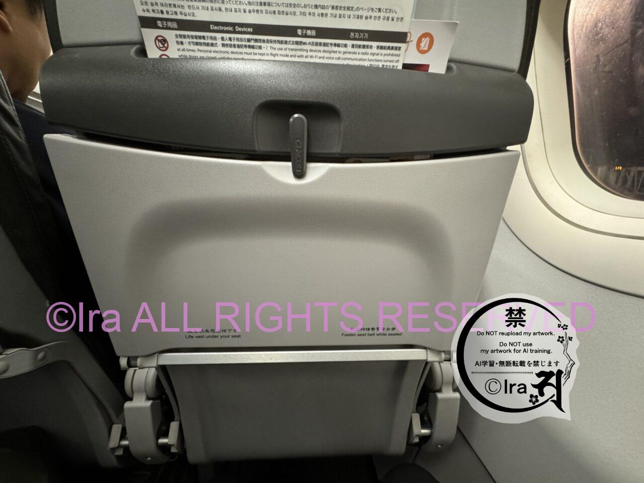tigerair(タイガーエア)は遅延が常態化のLCC.機内持込・羽田発フライト体験 IMG 0670