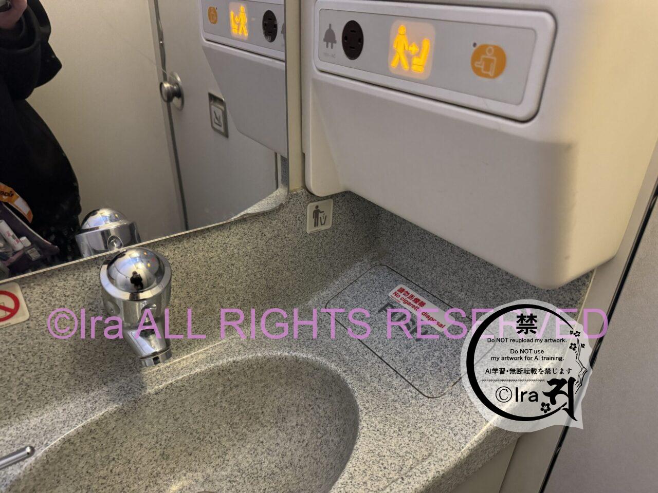tigerair(タイガーエア)は遅延が常態化のLCC.機内持込・羽田発フライト体験 IMG 0728