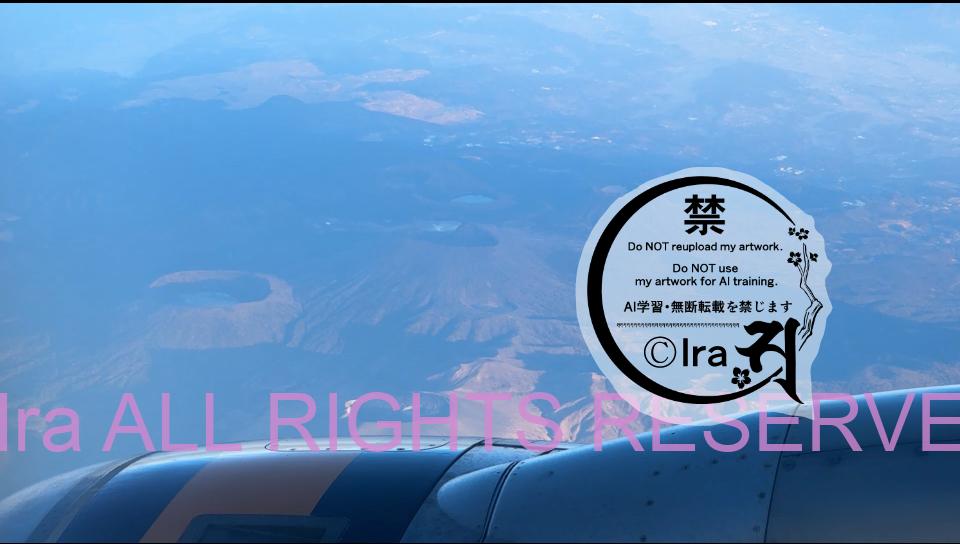 tigerair(タイガーエア)は遅延が常態化のLCC.機内持込・羽田発フライト体験 IMG 0738