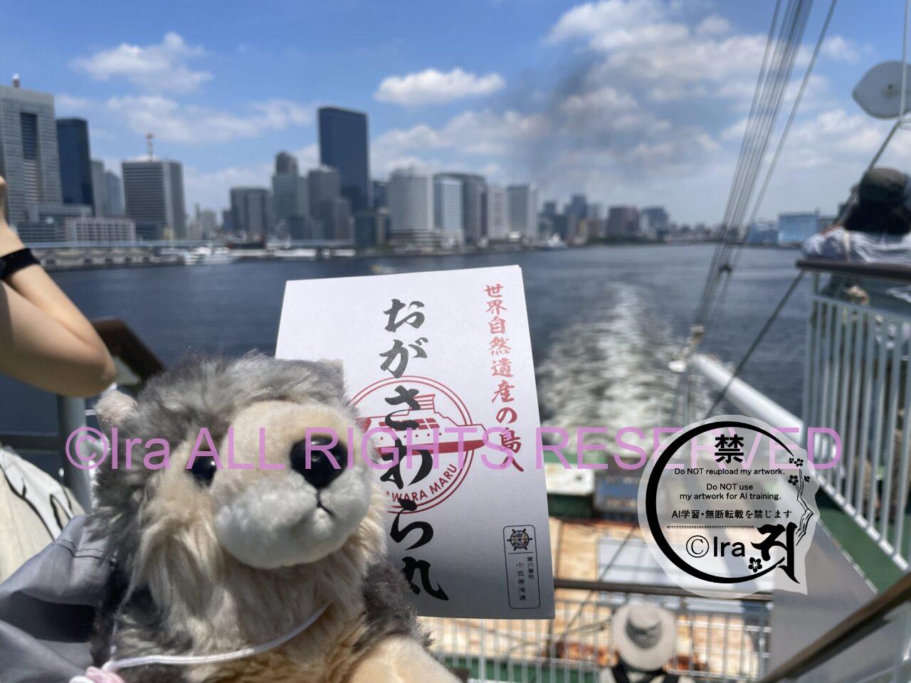 【片道24時間フェリー泊】おがさわら丸:東京小笠原諸島・父島・母島・硫黄島エリア IMG 0929