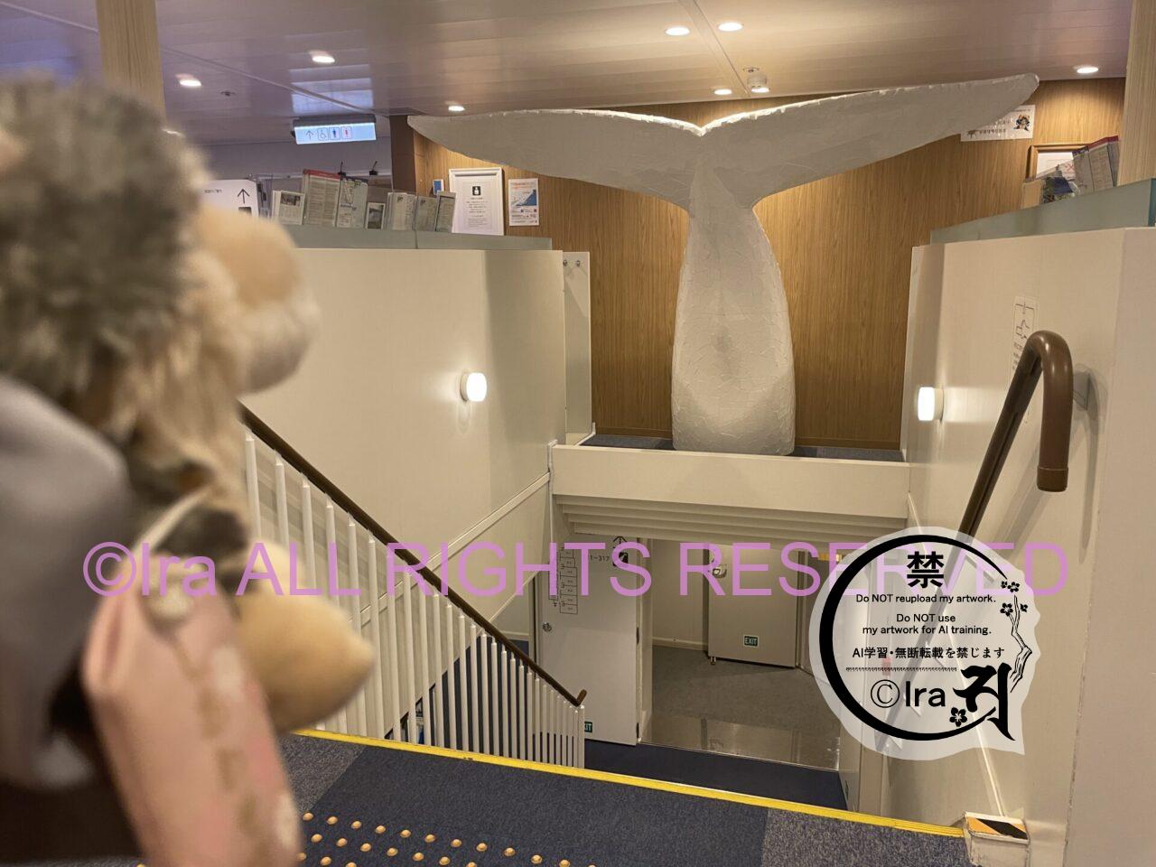 【片道24時間フェリー泊】おがさわら丸:東京小笠原諸島・父島・母島・硫黄島エリア IMG 0943