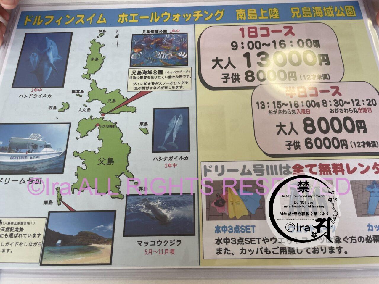 世界自然遺産で贅沢ドルフィンスイムとホエールウォッチング【小笠原諸島:兄島】 IMG 1188