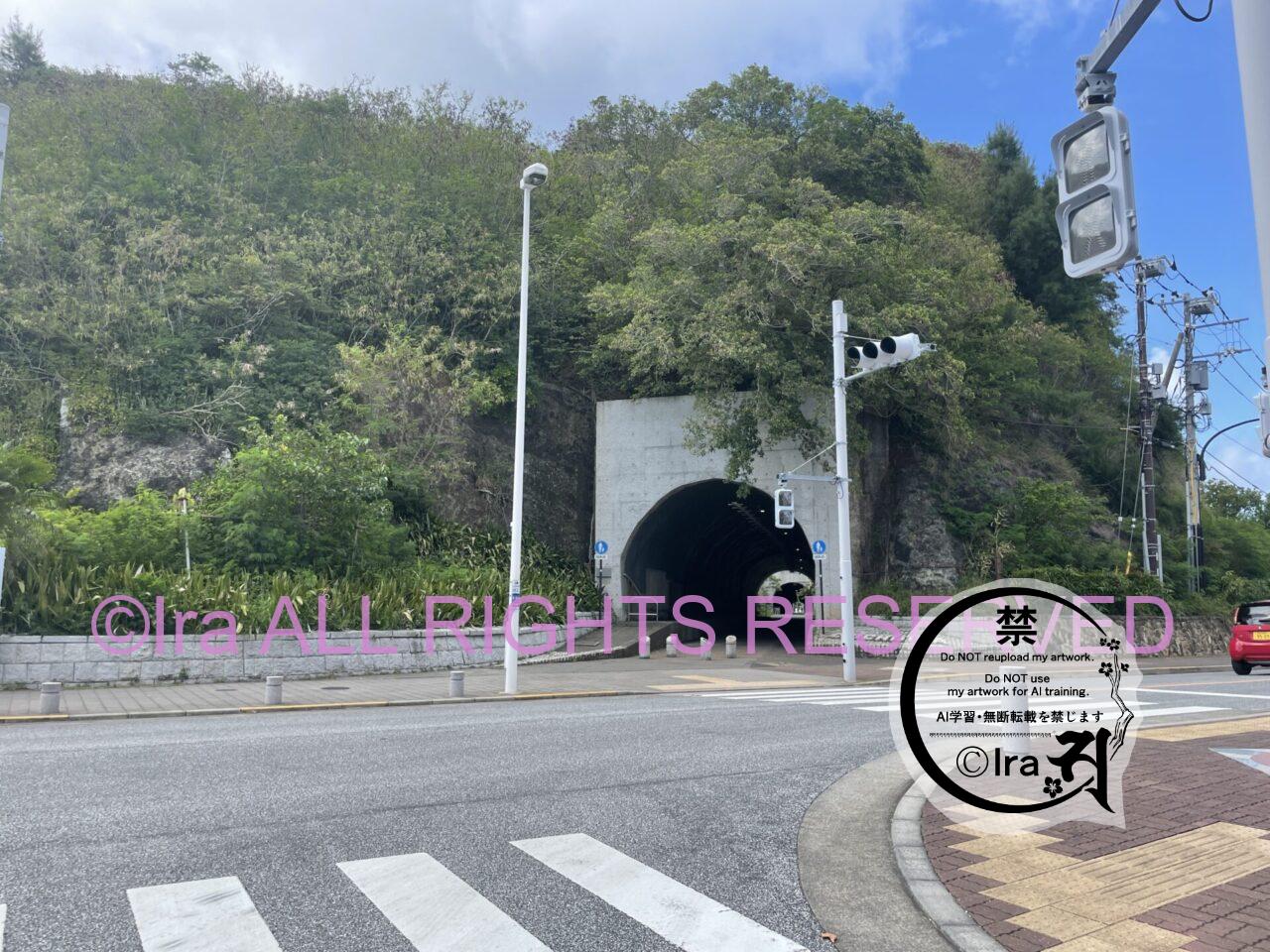 父島(ちちじま).国境の島小笠原の学校・土産・島寿司.歴史東京の小笠原諸島有人離島 IMG 1194