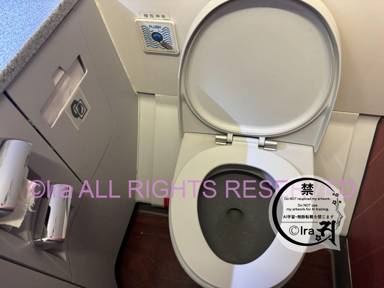 【実例】香港航空の機内食と機内持込検査/評判「死ぬ気でひたすらダッシュのトランジット」 IMG 1232