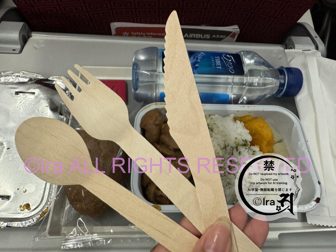 【実例】香港航空の機内食と機内持込検査/評判「死ぬ気でひたすらダッシュのトランジット」 IMG 1333