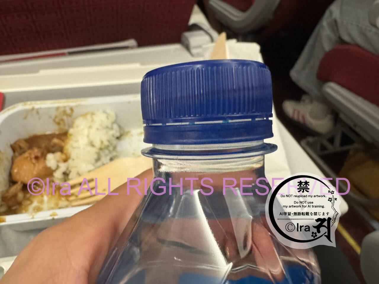 【実例】香港航空の機内食と機内持込検査/評判「死ぬ気でひたすらダッシュのトランジット」 IMG 1335