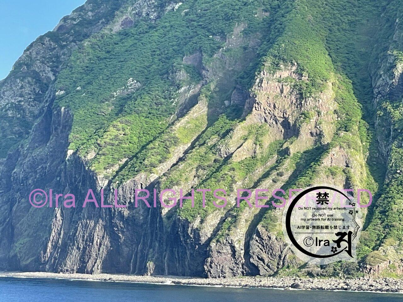 【南硫黄島】野鳥の会や愛鳥家の人々にも大人気の秘境 IMG 1664