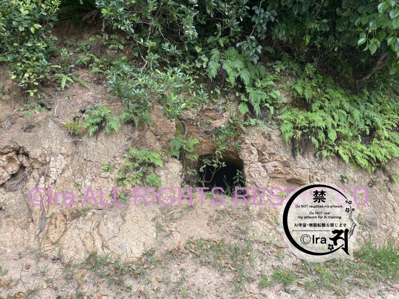 【母島】東京小笠原諸島の父島から行く。トンネルは霊が多そうに感じた IMG 2552