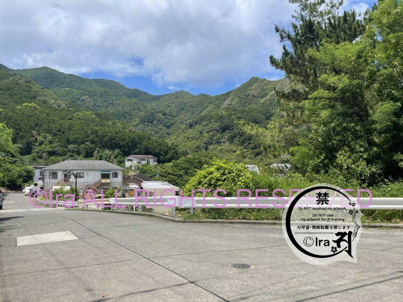 【母島】東京小笠原諸島の父島から行く。トンネルは霊が多そうに感じた IMG 2763