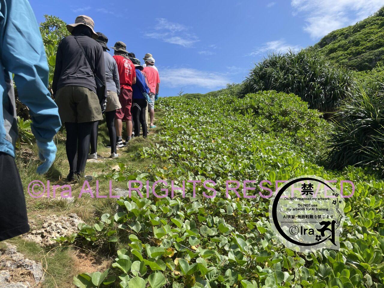 世界自然遺産は期間限定&100人限定のガイドツアー【小笠原諸島:南島(MINAMIJIMA)】 IMG 3047