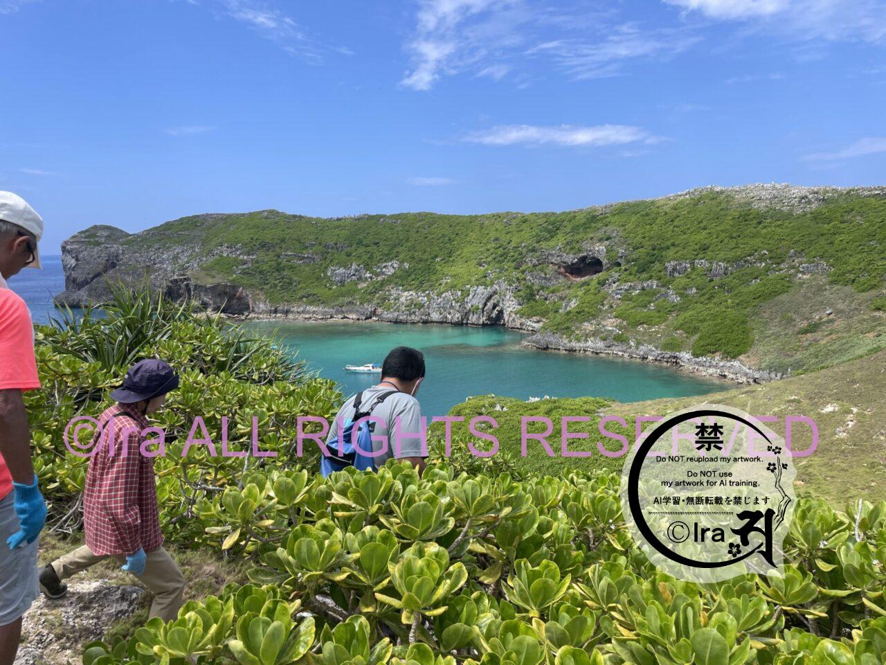 世界自然遺産は期間限定&100人限定のガイドツアー【小笠原諸島:南島(MINAMIJIMA)】 IMG 3141