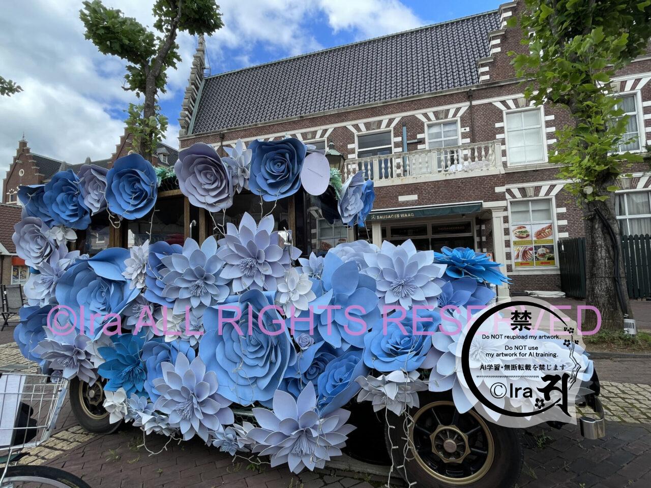 長崎ハウステンボス攻略。紫陽花ベストシーズン編 IMG 4879