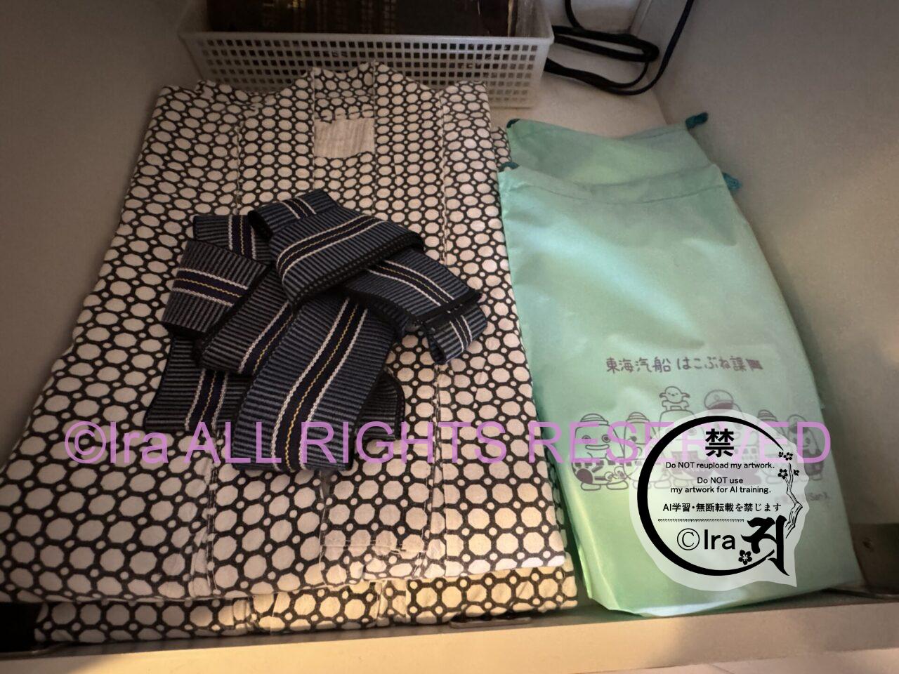 特等室3万円台のフェリー泊【橘丸】東京-八丈島航路 IMG 6616