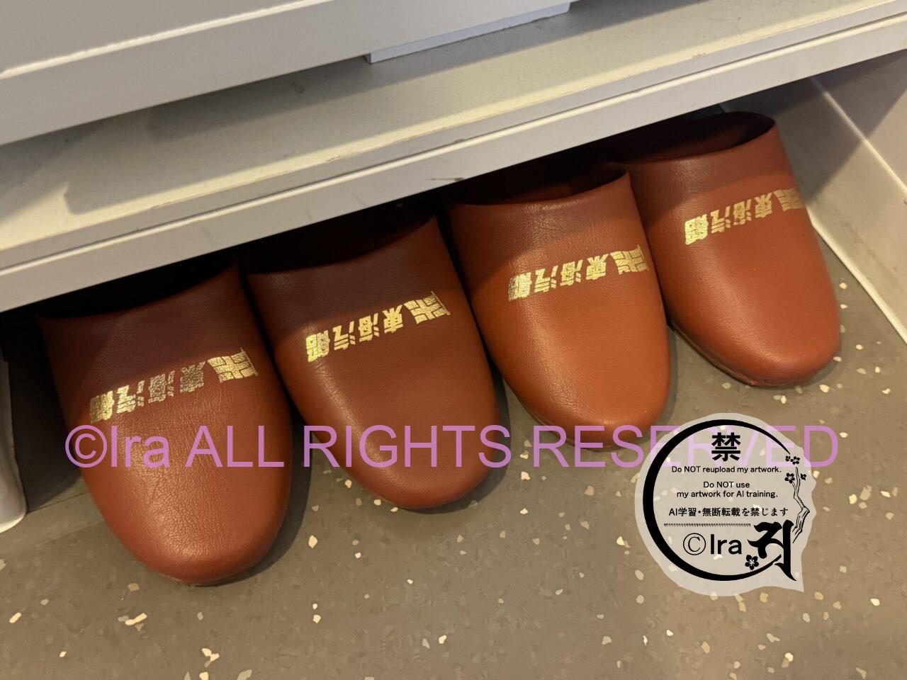 特等室3万円台のフェリー泊【橘丸】東京-八丈島航路 IMG 6618