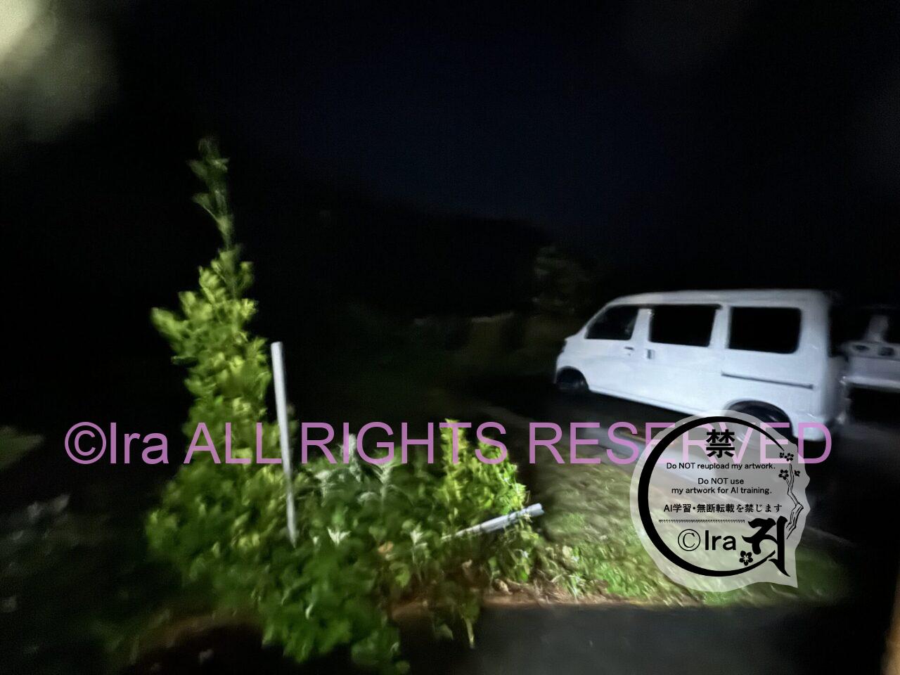【5月中旬から夏は満室傾向】東京伊豆諸島御蔵島村 村営バンガロー IMG 8116