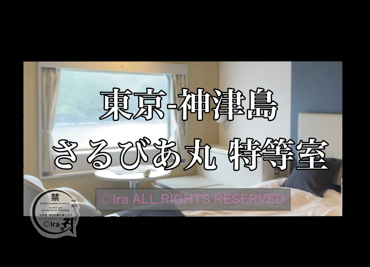 特等室2万円台のフェリー泊。満室も多い人気部屋【さるびあ丸】東京-神津島航路 fed7bf654ad250a6bcb9d07ecbea3142