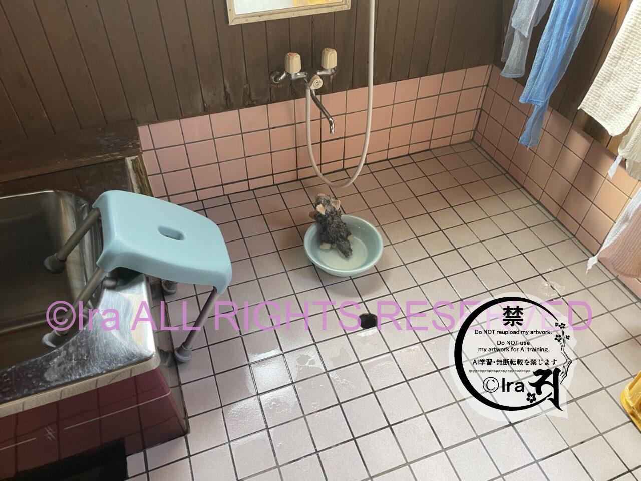 トカラ列島小宝島の民宿パパラギ3泊4日.鹿児島十島村観光 IMG 0226
