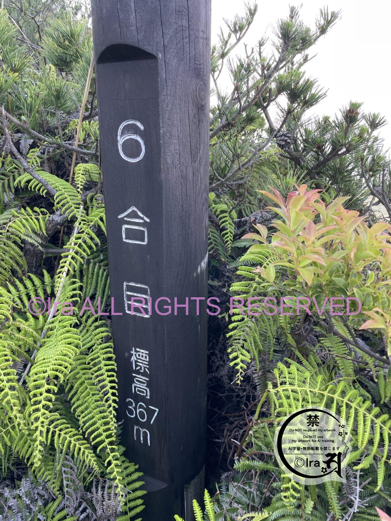 人気の"裏砂漠".天上山登山4時間半【神津島】初心者OK IMG 0228