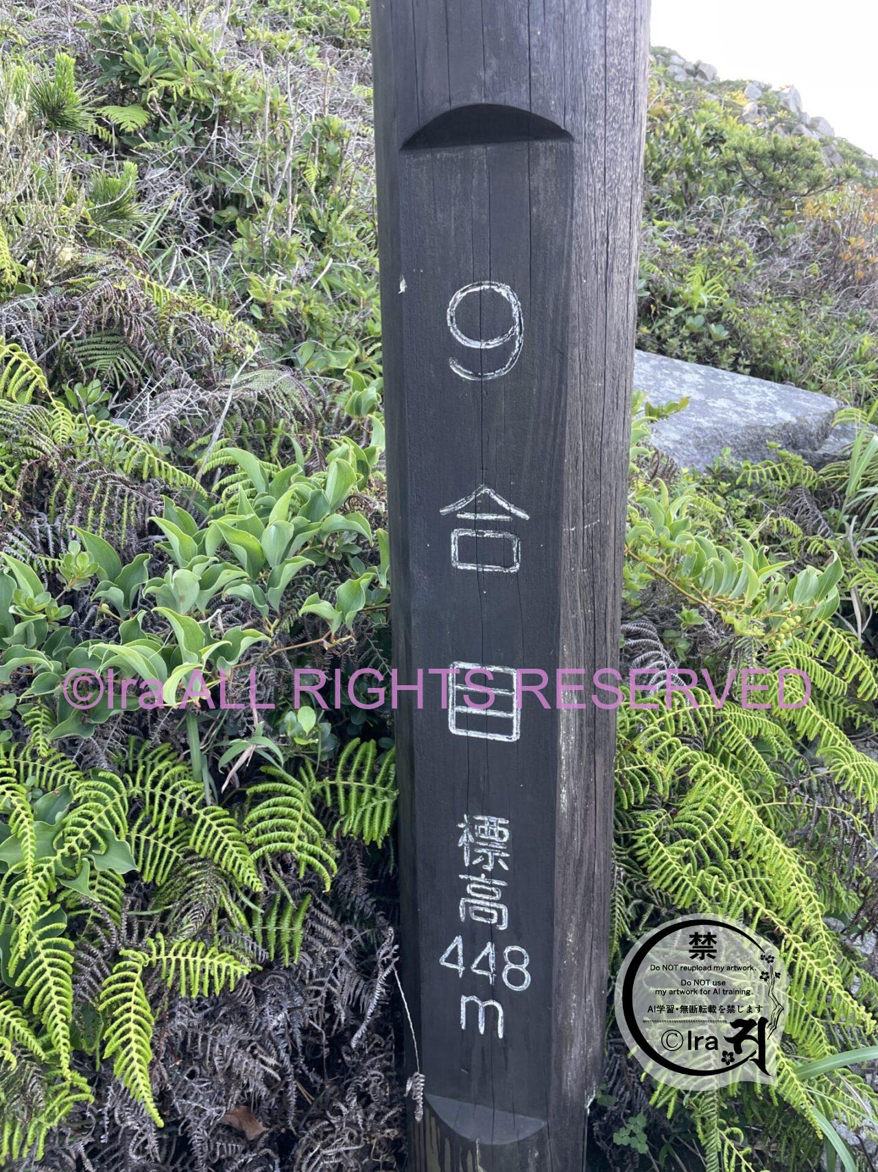 人気の"裏砂漠".天上山登山4時間半【神津島】初心者OK IMG 0237