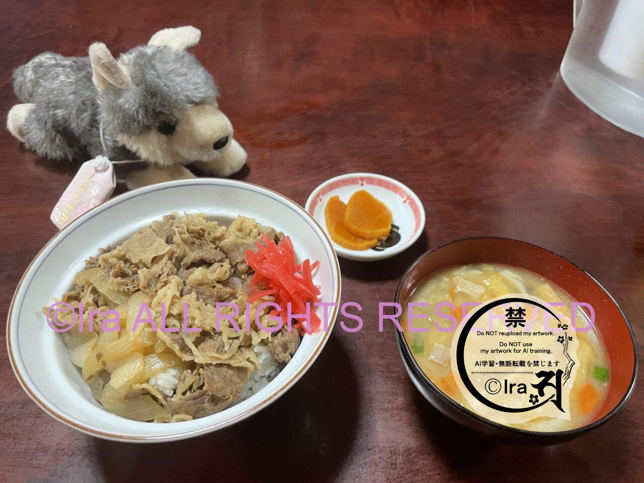 【トカラ悪石島】民宿西荘1泊2日宿泊記事.食事と料金 IMG 15512