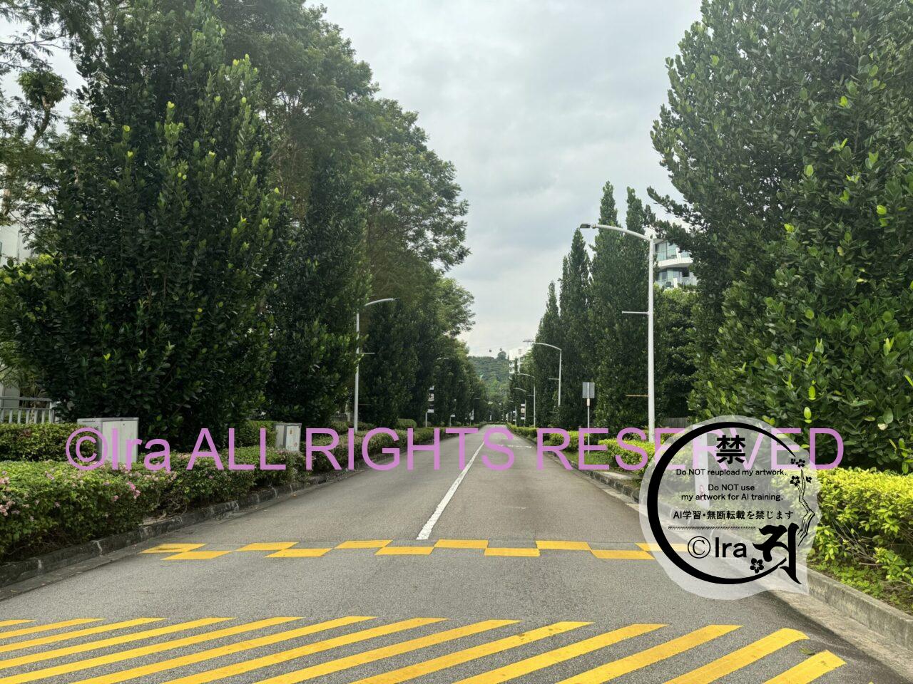 高級住宅地の先にあるケッペル島.船保持者多数(Keppel Island)in Singapore IMG 2537