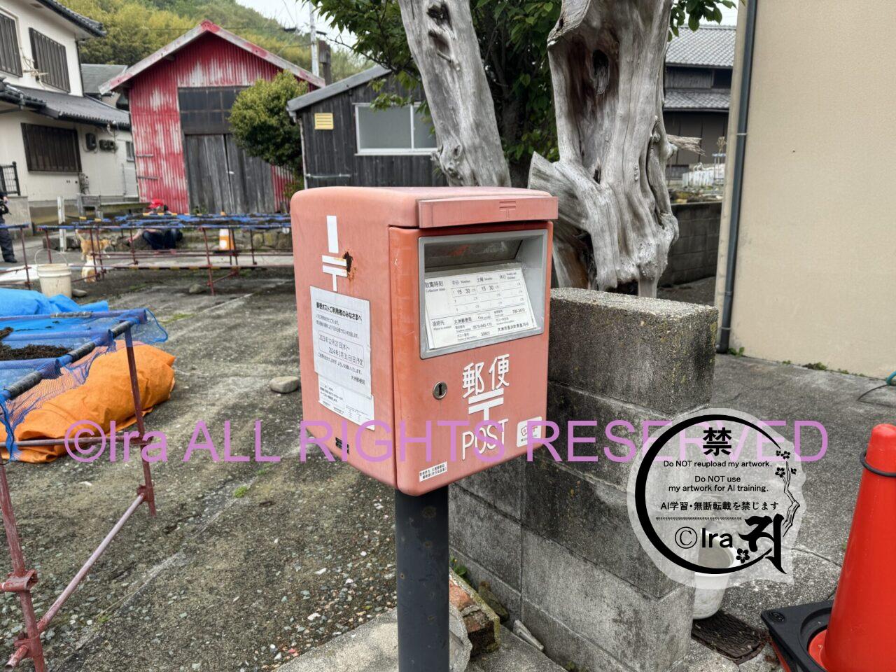 青島(あおしま)猫の数は激減.愛媛伊予灘の孤島 IMG 4474