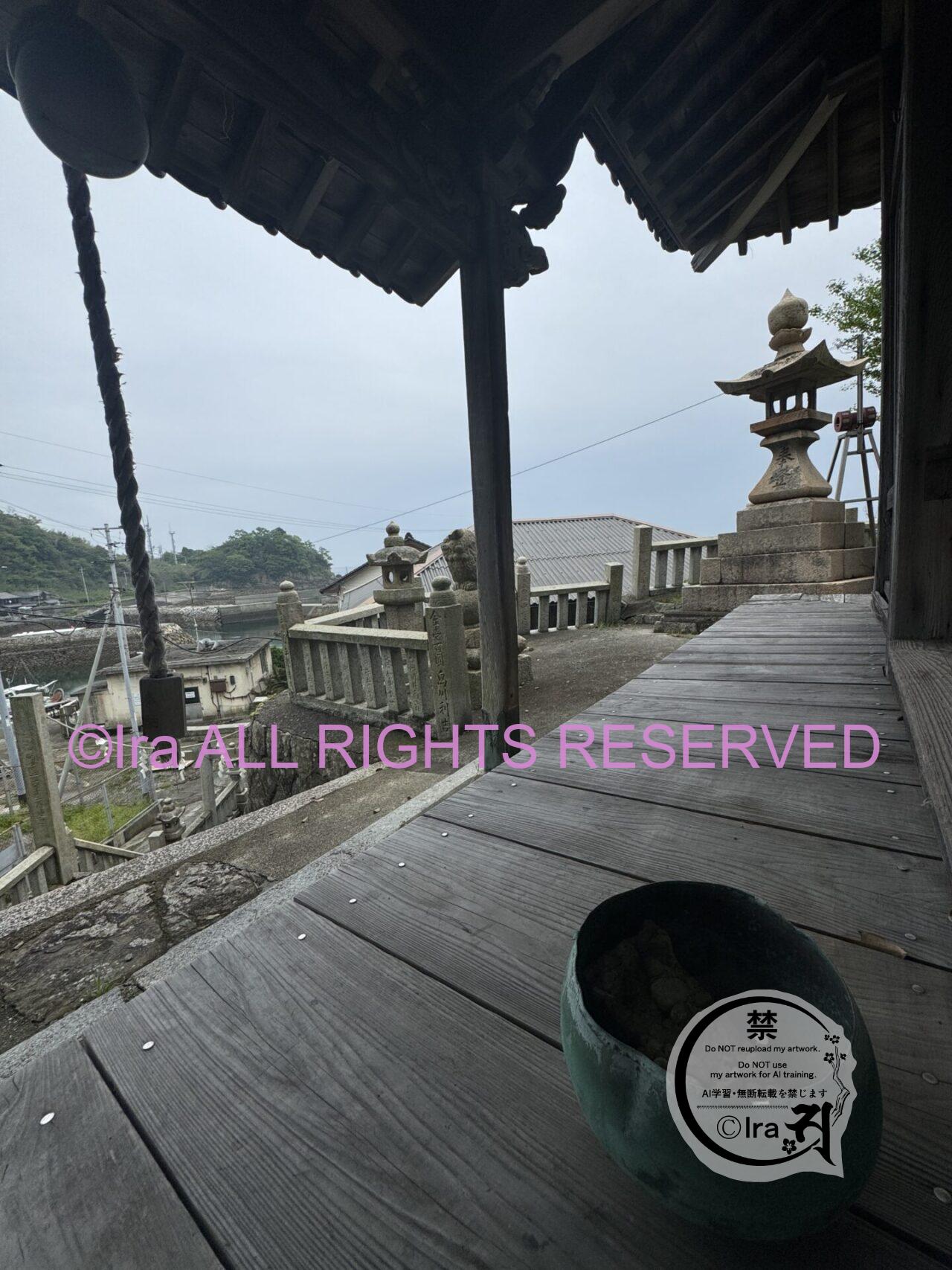 青島(あおしま)猫の数は激減.愛媛伊予灘の孤島 IMG 4639
