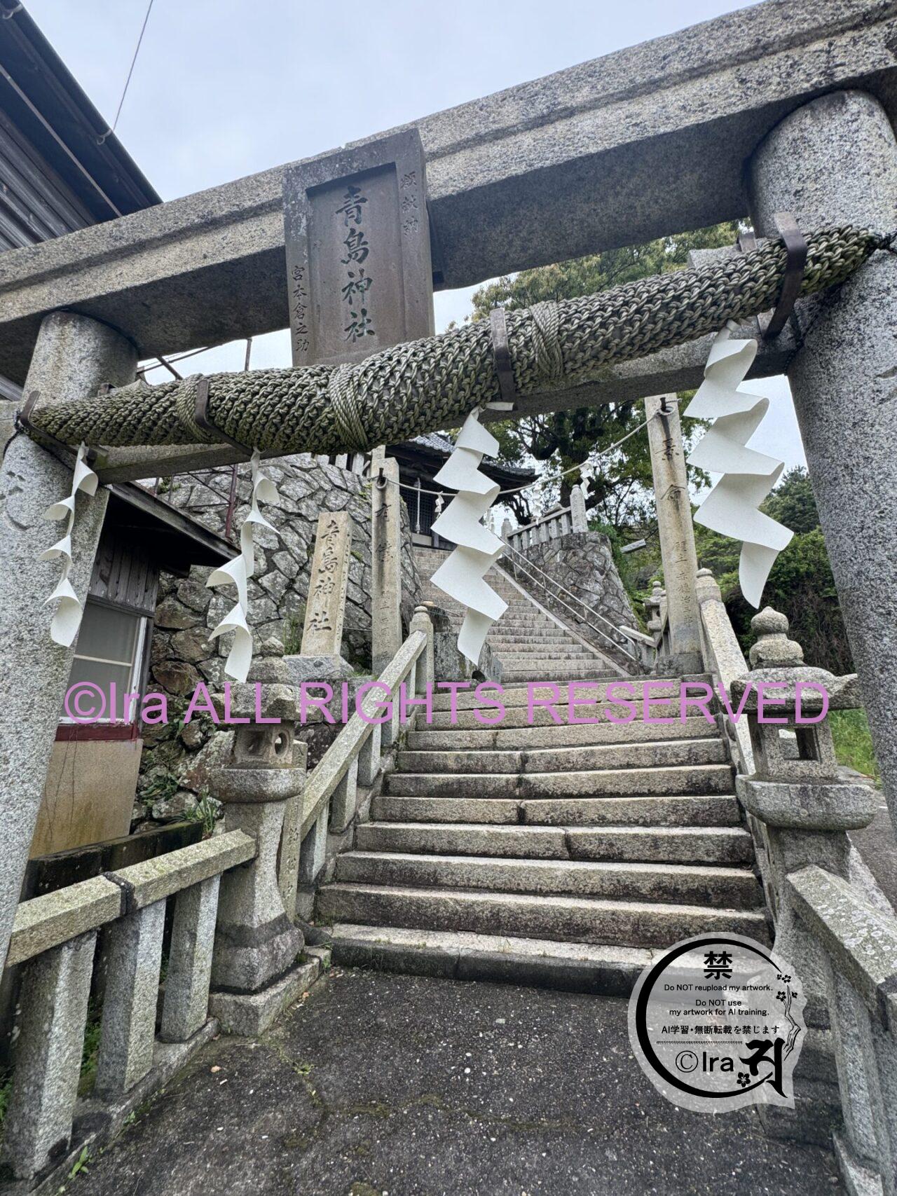 青島(あおしま)猫の数は激減.愛媛伊予灘の孤島 IMG 4650
