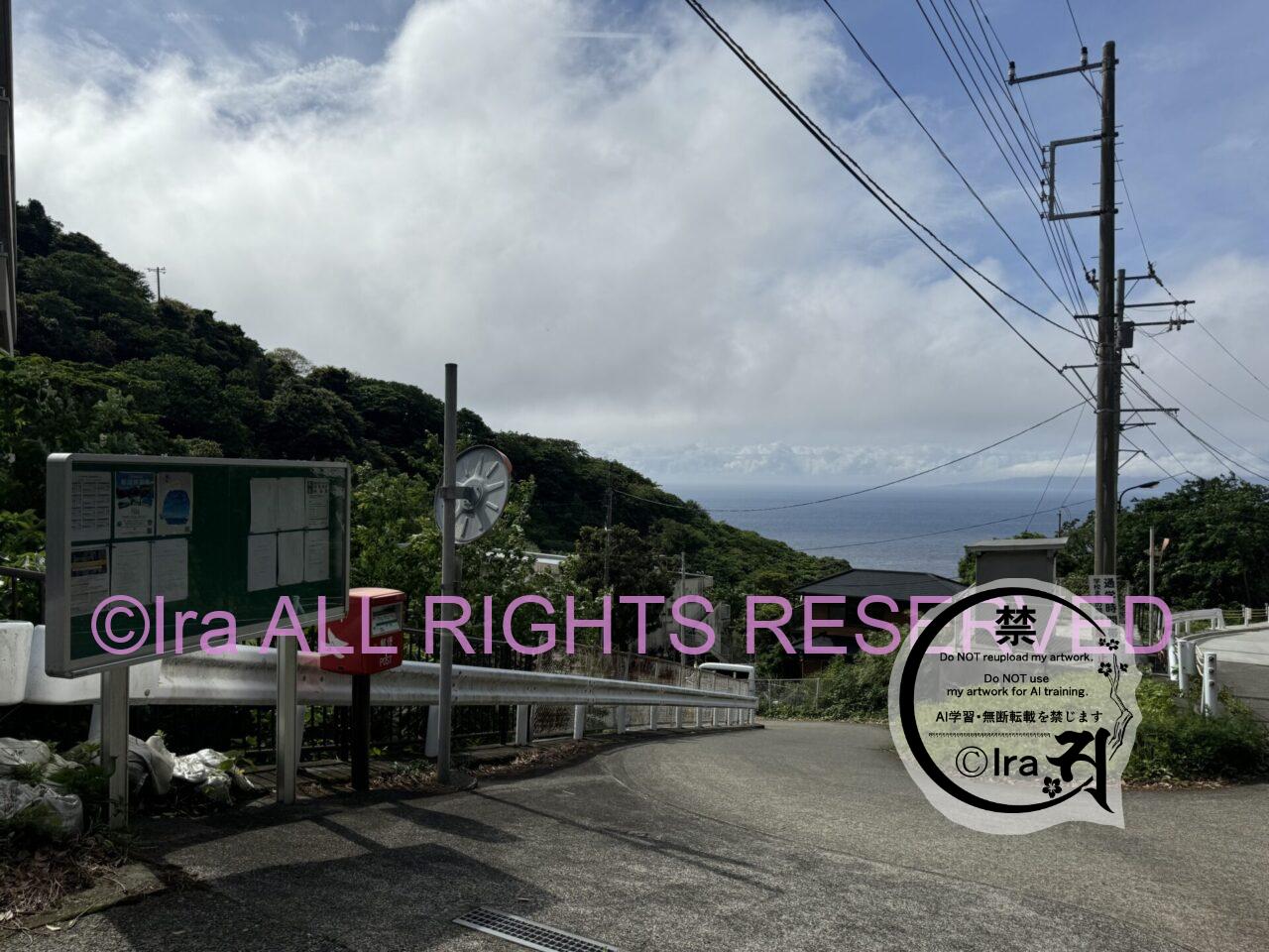 移住したくても家不足.イルカで人気の東京御蔵島.伊豆諸島 IMG 7212