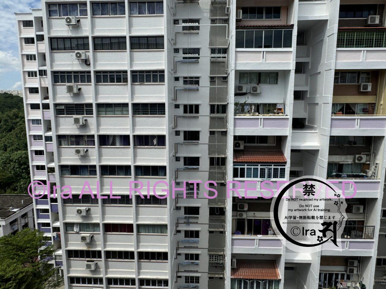 シンガポールのHDB(2階分吹き抜け系)/家/不動産実例【1】.海外生活 IMG 8093