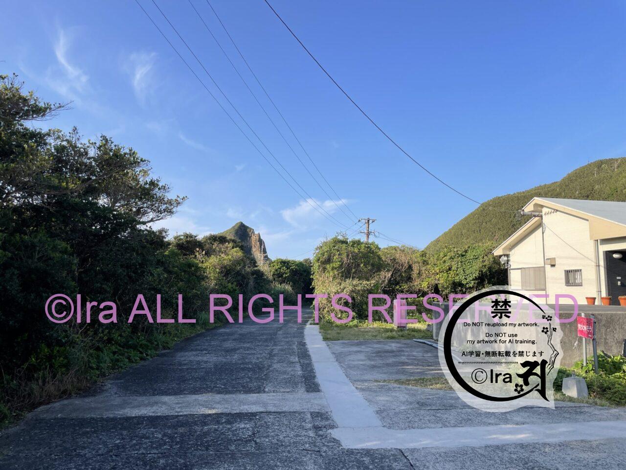 【トカラ小宝島】移住/障害者/離島留学/教育まとめ IMG 8732