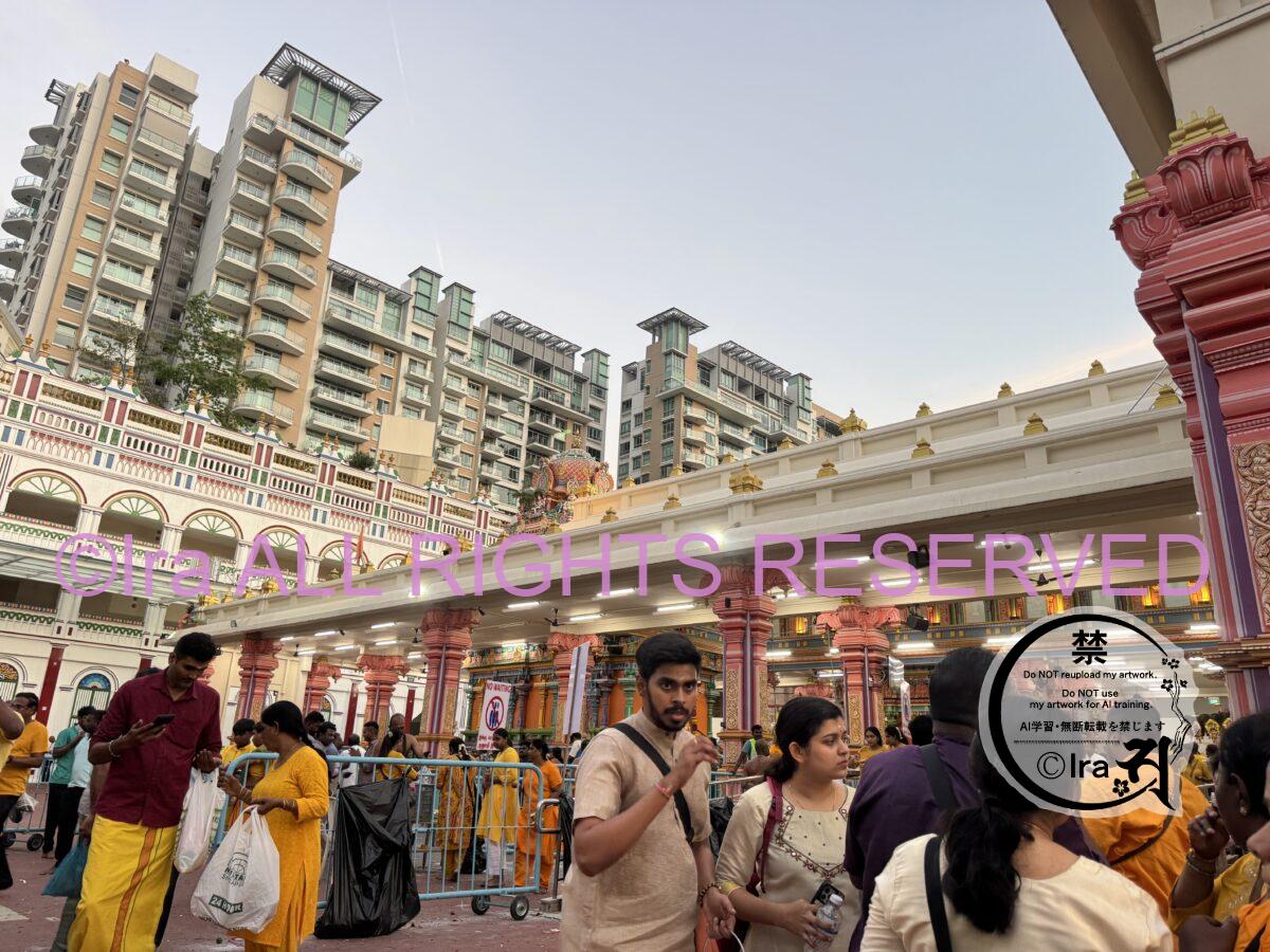 【🇸🇬在住者まとめ】シンガポールのイベント&観光地.マイナー情報あり IMG 9037 1