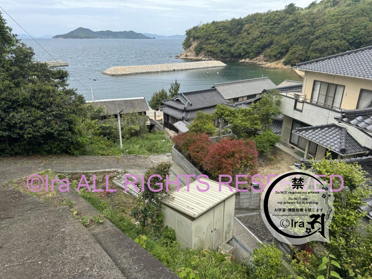 椿が見頃の時期は毛虫も大量発生で見頃だった.岡山県笠岡諸島大飛島(おおびしま) IMG 9173