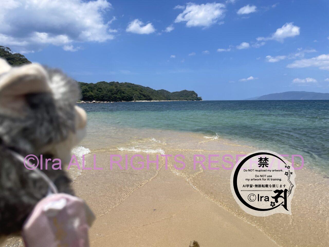 親子連れ多.毎年2万人以上が訪れる福井の無人島”水島”!夏だけ臨時船あり IMG 9389