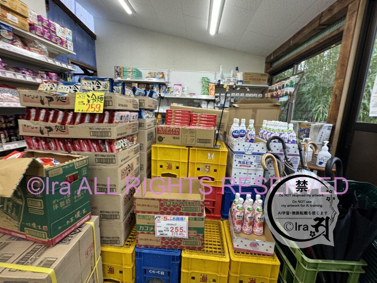東京三宅島大久保浜キャンプ場でソロキャン.バス運行本数少ない IMG 9452