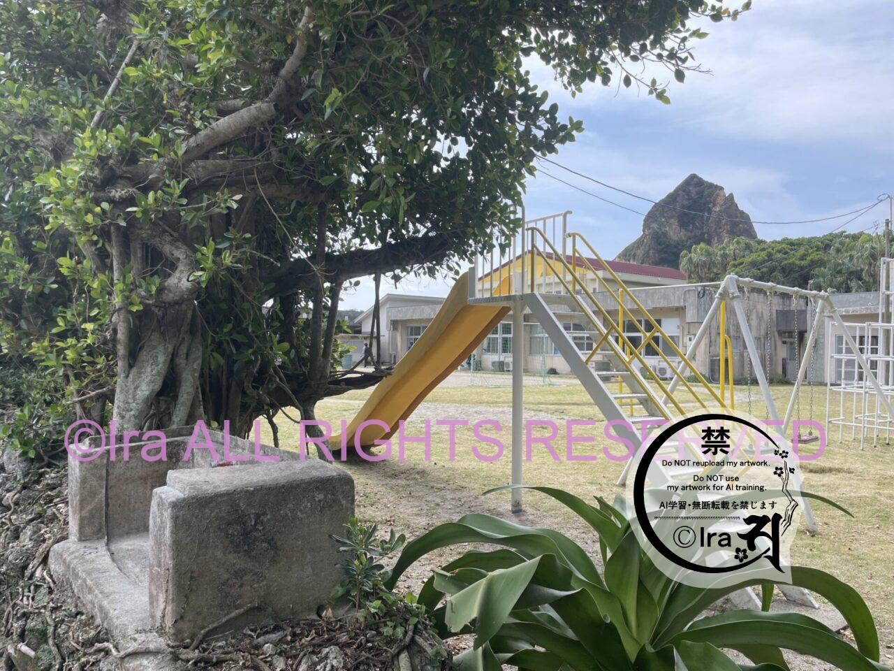 【トカラ小宝島】移住/障害者/離島留学/教育まとめ IMG 9614