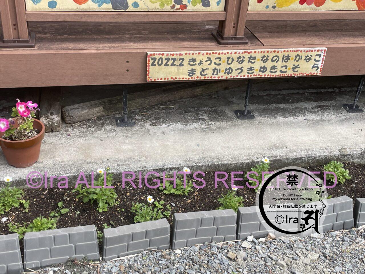 【トカラ小宝島】移住/障害者/離島留学/教育まとめ IMG 9616