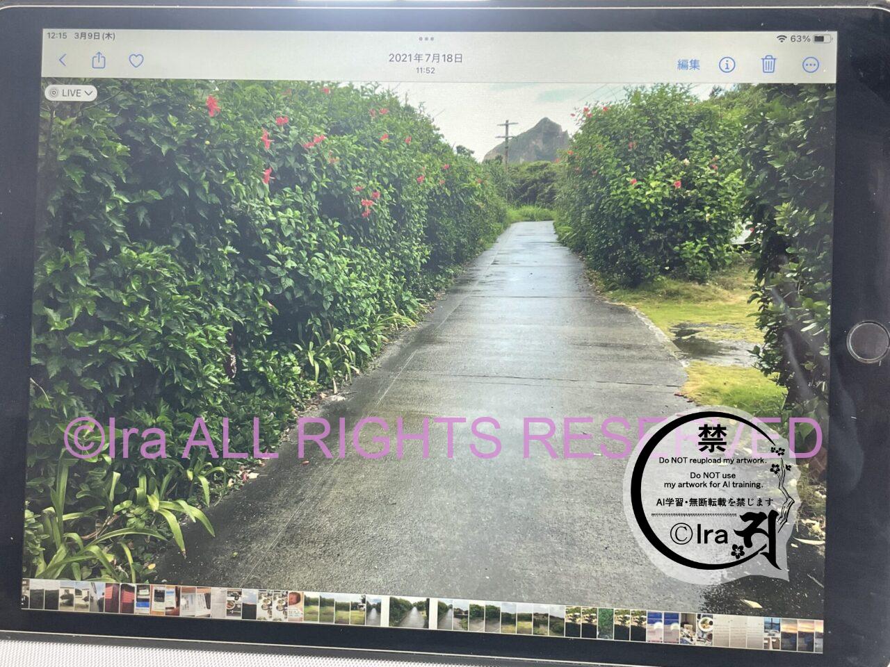【トカラ小宝島】移住/障害者/離島留学/教育まとめ IMG 9630
