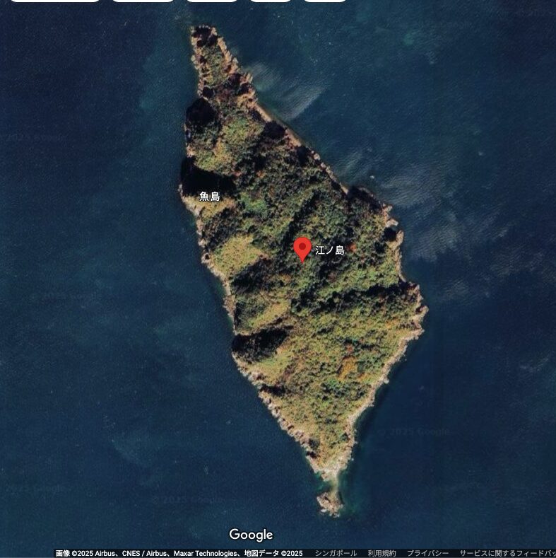 愛媛の江ノ島.釣り客が行く島 e96c33c22f866ee4b0582cbb074c30d1