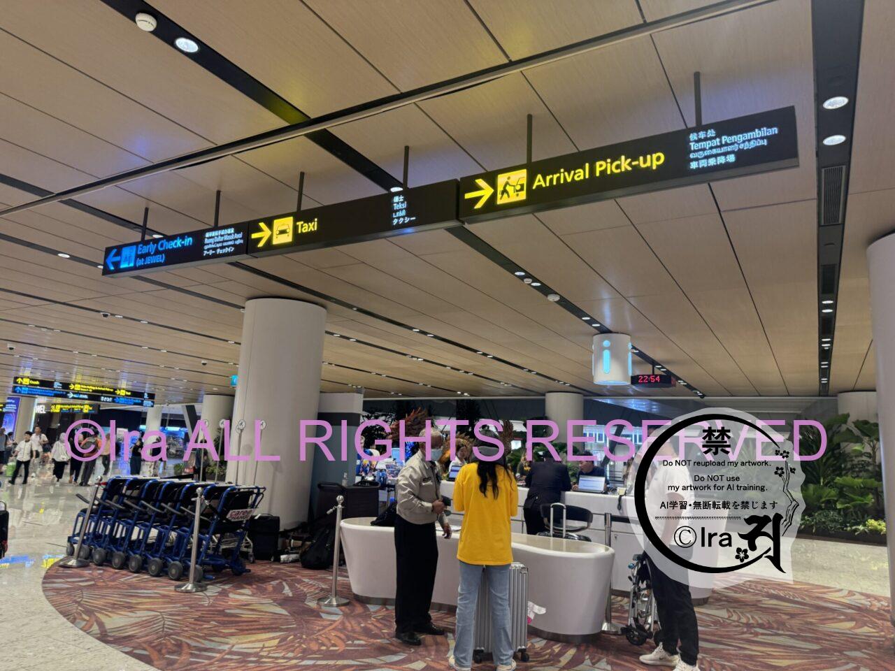 入国禁止対象か確認する方法.シンガポール旅の公開処刑回避ルート IMG 0152