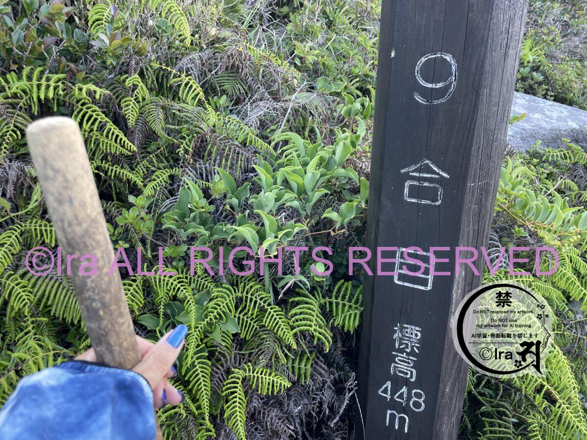 大人気絶景ハイキング.ベストシーズン実例.神津島の天上山.黒鳥登山口→白鳥ルート.裏砂漠・表砂漠巡り IMG 0242