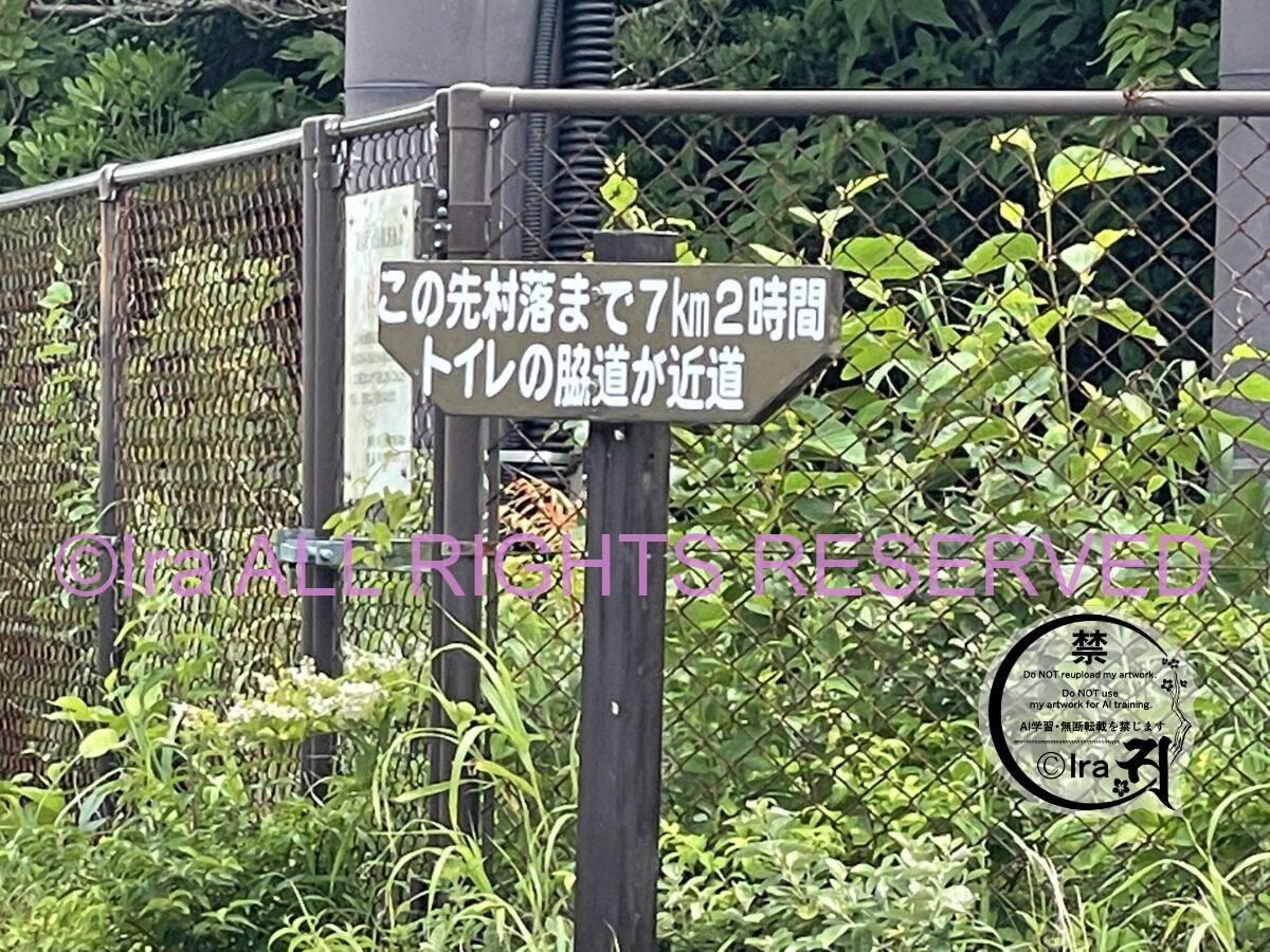 大人気絶景ハイキング.ベストシーズン実例.神津島の天上山.黒鳥登山口→白鳥ルート.裏砂漠・表砂漠巡り IMG 0538
