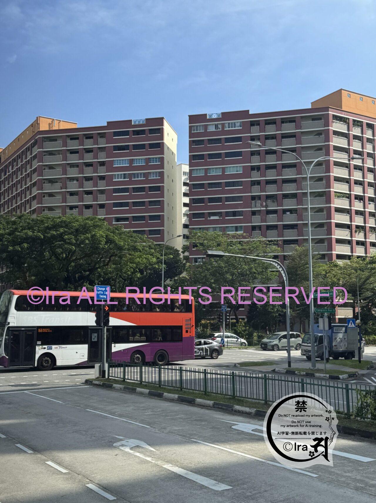 国連の「世界居住賞」を受賞.レトロ大都市Tampines(タンピネス).シンガポール東部 IMG 0736