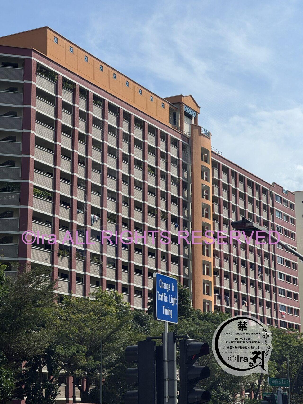国連の「世界居住賞」を受賞.レトロ大都市Tampines(タンピネス).シンガポール東部 IMG 0737